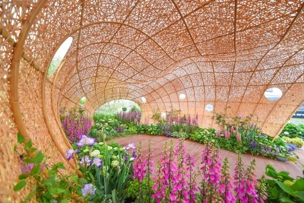 （转载）1.5万平方米！“五一”成都花展来了 免费开放