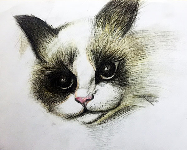 儿童画赏析—孩子们画笔下机灵可爱的小猫咪！