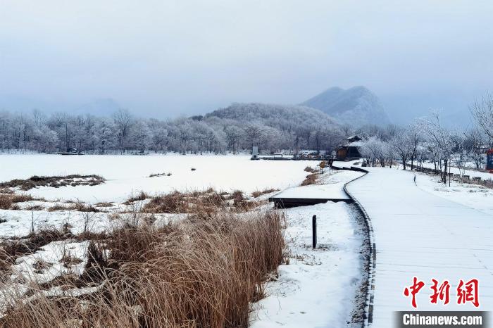 大九湖国家湿地公园白雪苍茫。 王力 摄