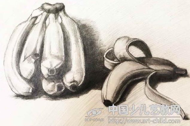 详解素描作画的几个大步骤