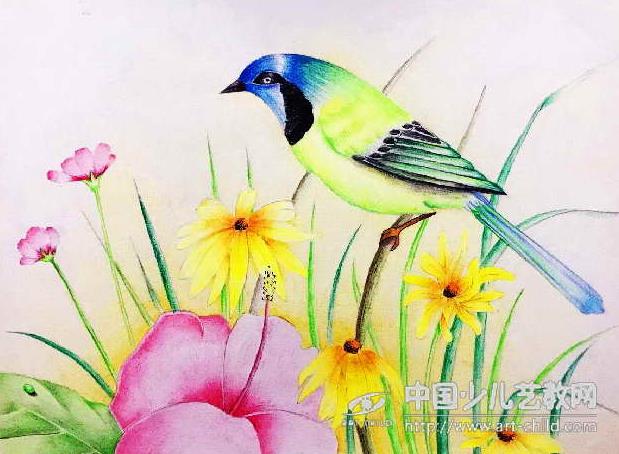 线描罗宾鸟地画法