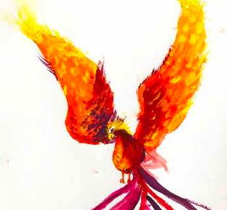 线描凤凰地画法