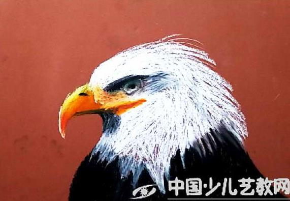 美术学习者必知的常用名词