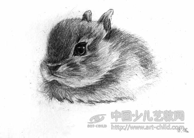 《淘气的小灰兔》作品赏析