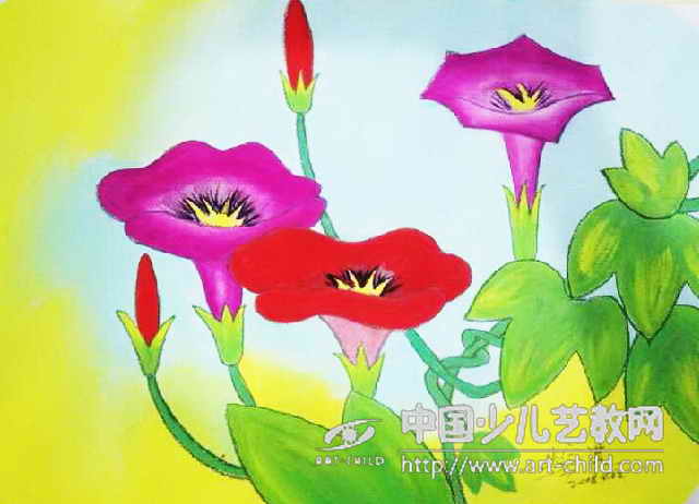 《自然规律——曼陀罗之爱》作文赏析