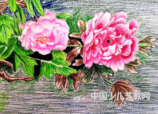 童话《绿牡丹开花》欣赏