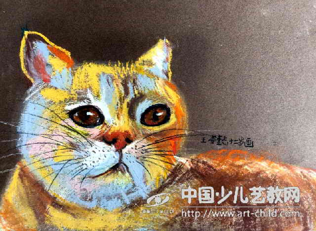 萌出一脸血！看2015路透社年度动物照片