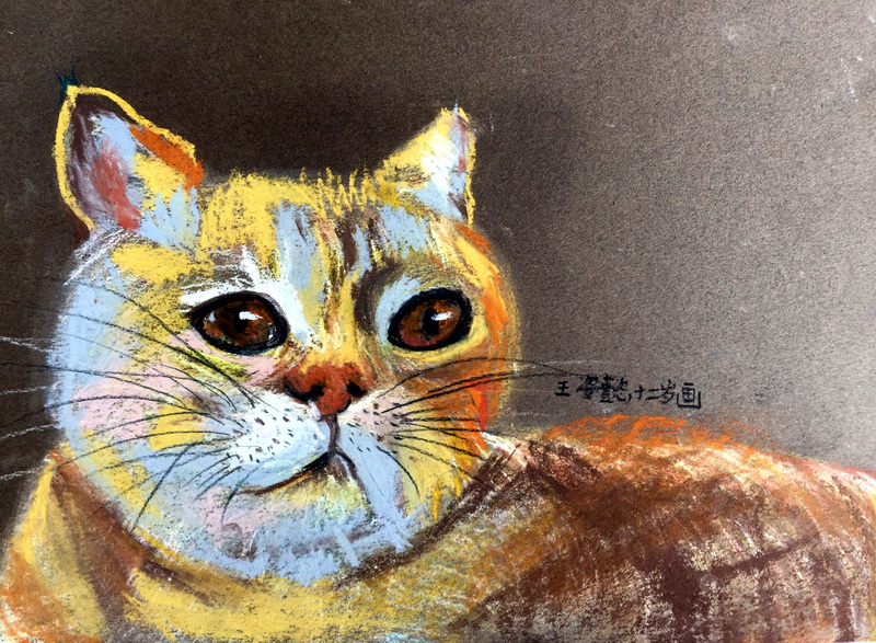 《奔流•小作家》中小学生作文赏析——《流浪猫与小布鼠》 