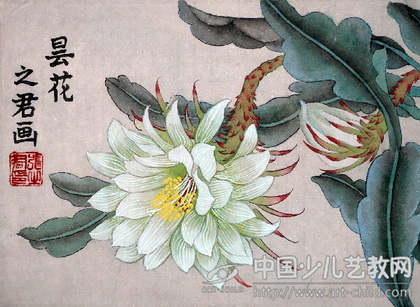 《奔流•小作家》小学生作文赏析——《昙花一现的风采》