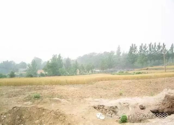 点击浏览下一页