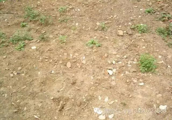 点击浏览下一页