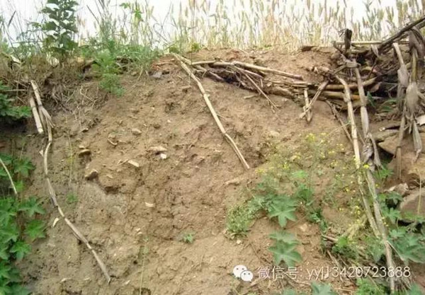 点击浏览下一页