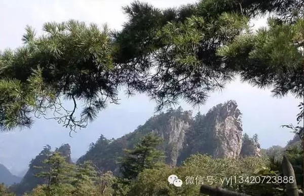 点击浏览下一页