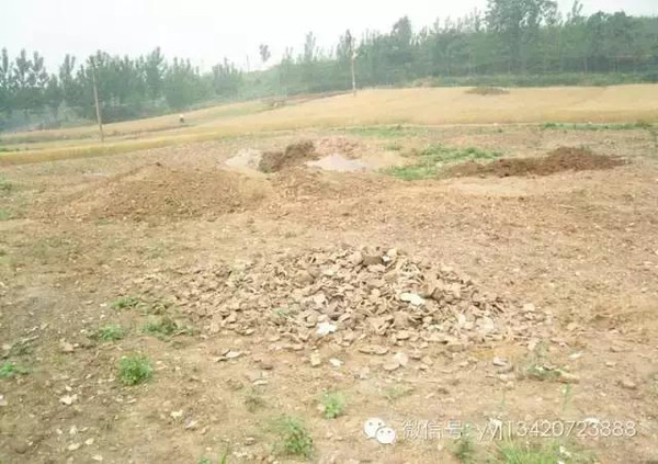 点击浏览下一页