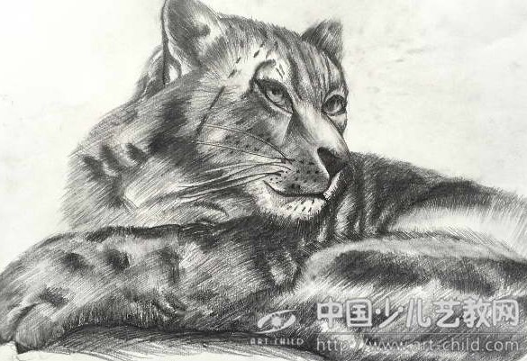 全国少儿书画大赛启示录：素描快速训练五法揭秘