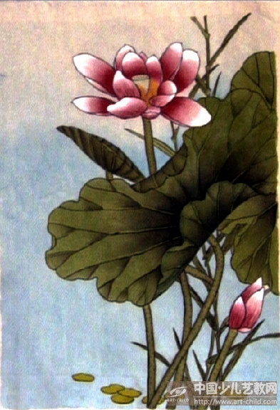 荷——《少儿画苑》国际少儿书画大赛