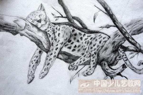 贪睡的豹子——《少儿画苑》国际少儿书画大赛