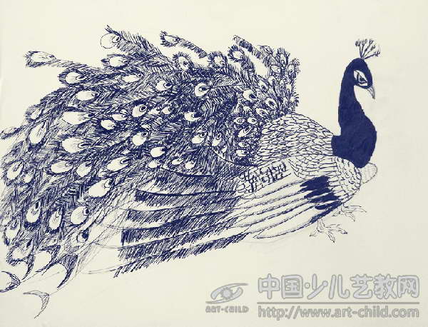 孔雀很骄傲——《少儿画苑》国际少儿书画大赛