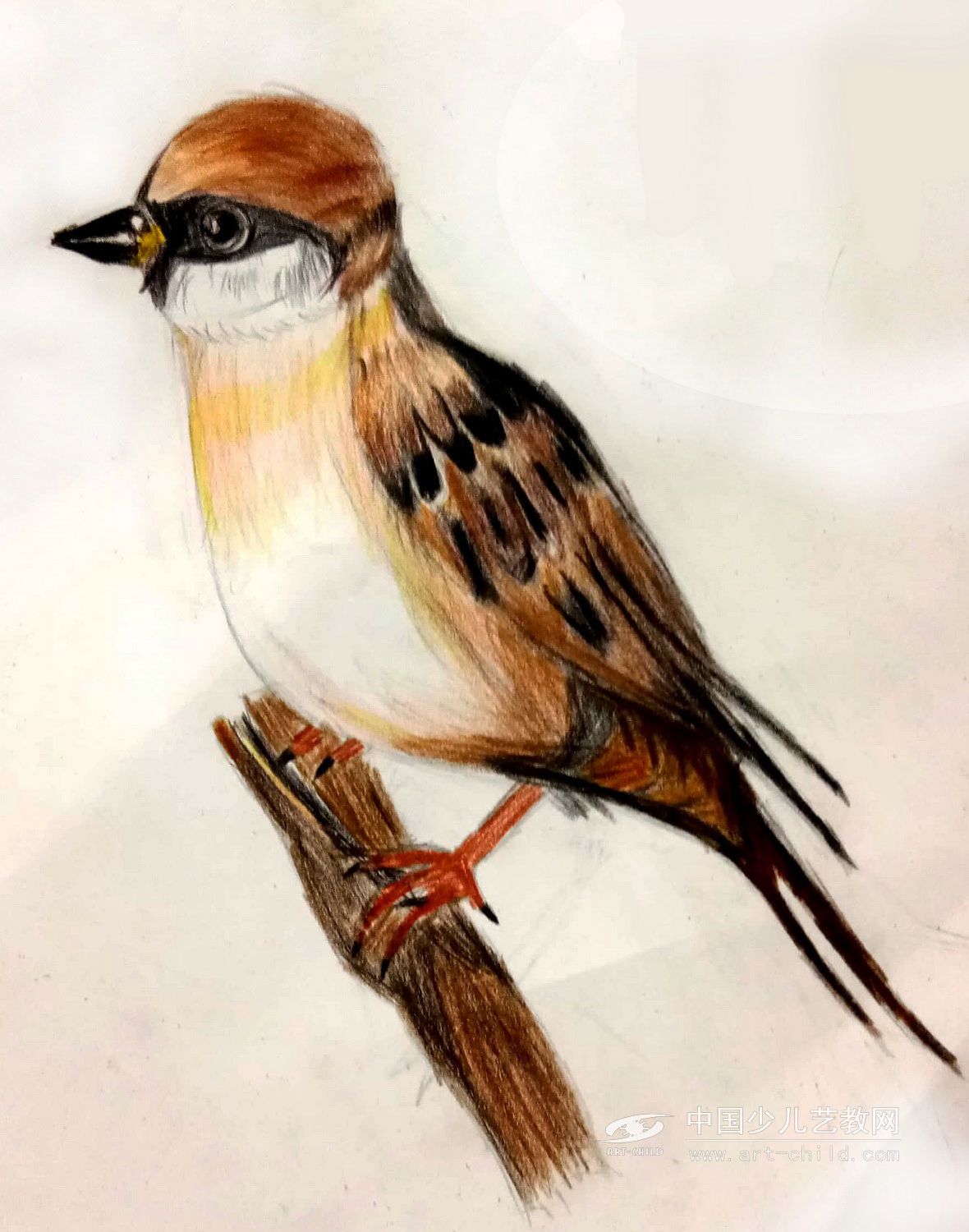 栖息的麻雀——《少儿画苑》国际少儿书画大赛作品赏析