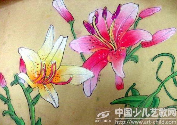 探索百合之美：中国花鸟画如何捕捉百合花的神韵与细节？