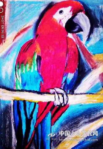 金刚鹦鹉--《少儿画苑》国际少儿书画大赛作品赏析
