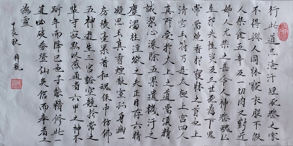 书法作品点评：丁梓航《灵飞经》（楷书）——选自《少儿画苑》国际少儿书画大赛》