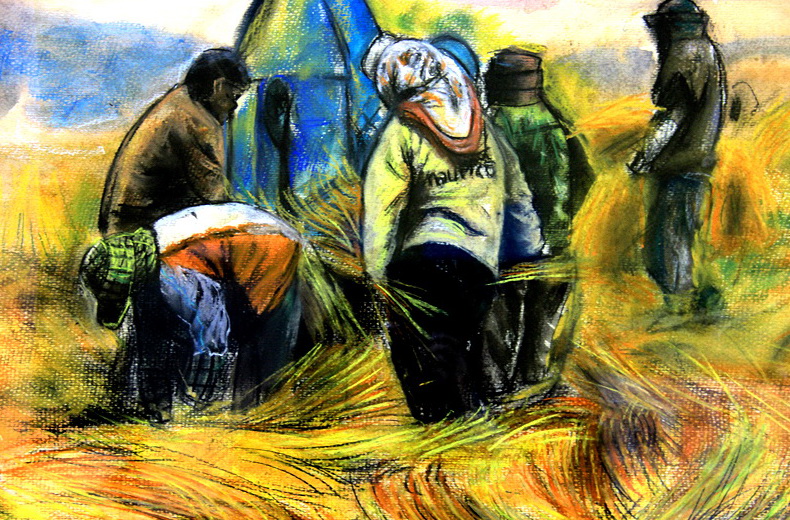 《秋收》—选自《少儿画苑》国际少儿书画大赛