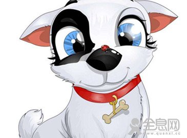 全息作文比赛金奖作品：小狗