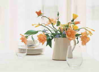 花卉摄影中背景的处理与光的运用 花卉摄影中背景的处理与光的运用