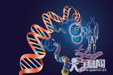 神秘的DNA