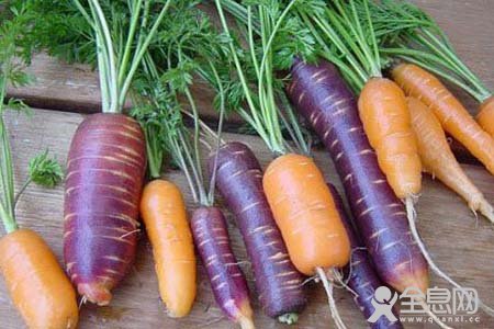 紫色胡萝卜