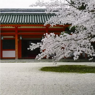 【四月花见】摄影师镜头里的唯美樱花季