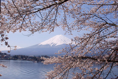 日本最美樱花摄影图片精选