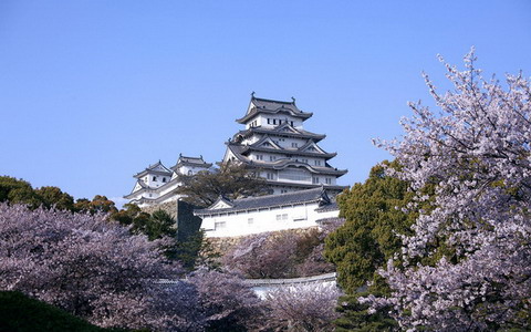 日本最美樱花摄影图片精选
