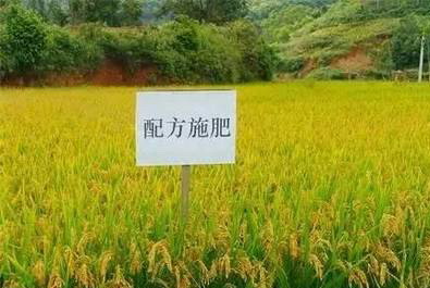 如何保证化肥减量时促使农业增效