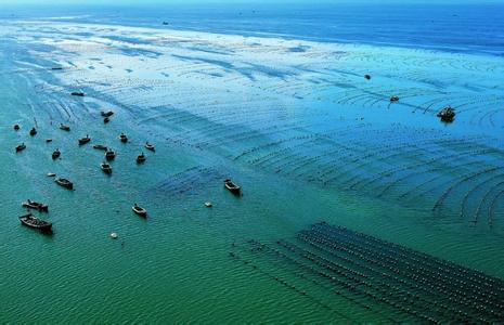 什么是海洋牧场