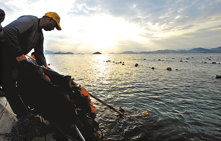 宁海县：加快象山港海洋牧场实验区的建设