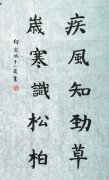 少儿书法欣赏4
