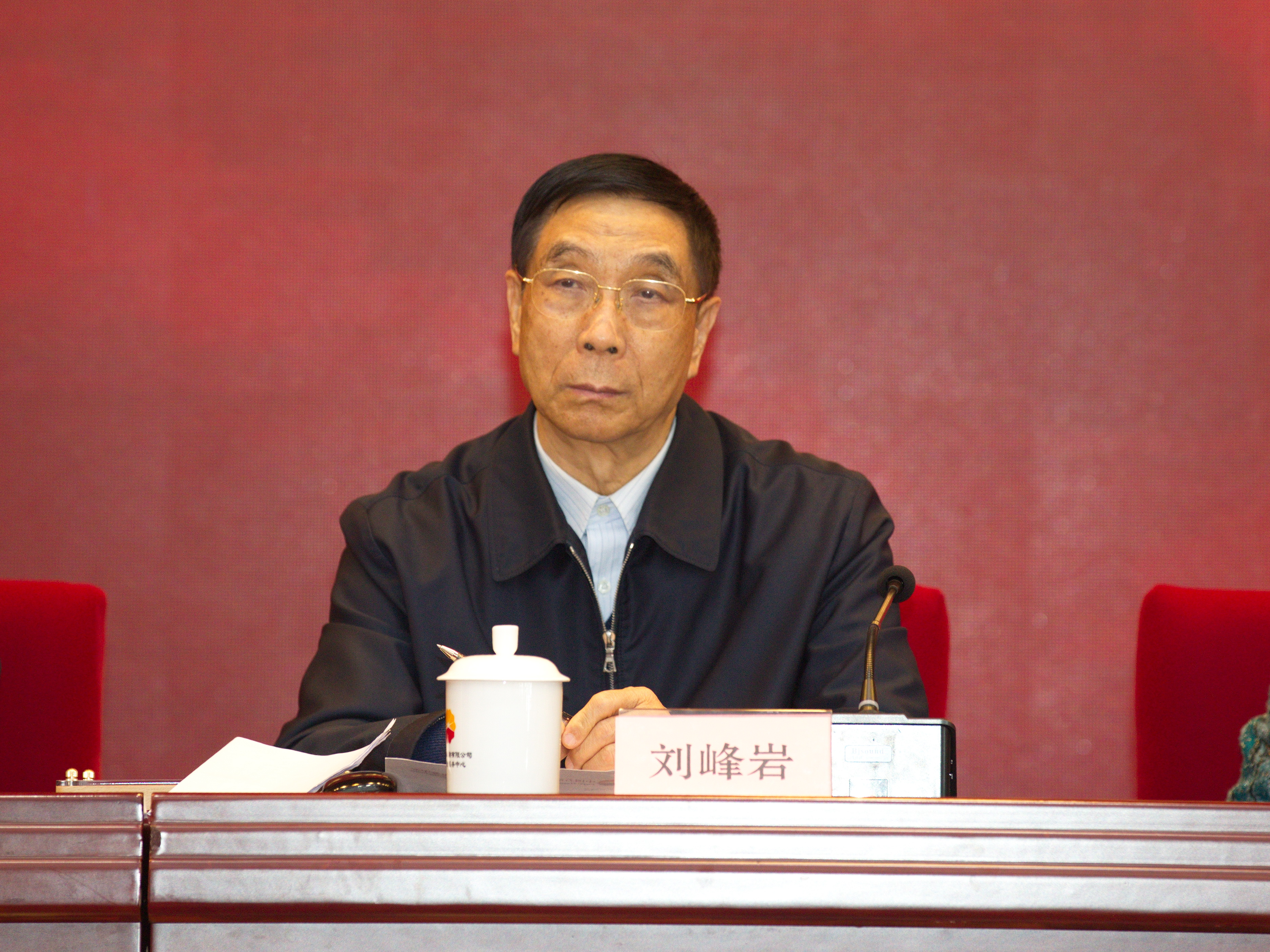 中国关工委常务副主任刘峰岩宣读表扬决定.jpg 中国关工委常务副主任刘峰岩宣读表扬决定.jpg