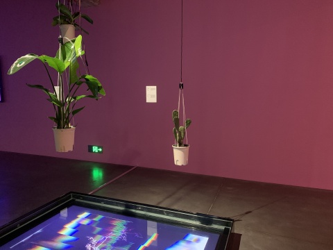 有趣真的很重要！请预留一个半小时给现代汽车文化中心的开年大展