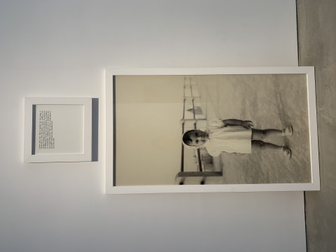 苏菲·卡尔 《Wait for me》 170×100cm&nbsp;照片、铝片、文字、外框 2010
