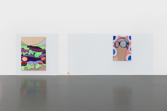 高露迪个展“杂志” ，空白空间展览现场，图片由艺术家和空白空间提供 