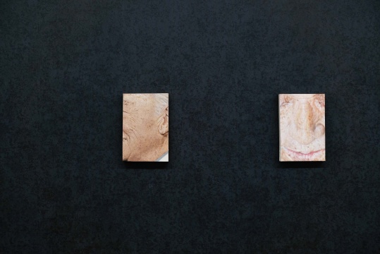 世纪大难题“绘画如何观看”？泰康空间新展“绘画无声”勇敢地给出了回答