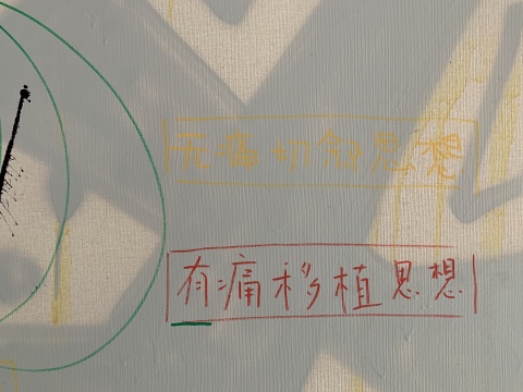 “中国艺术家精神病专科”真的落成了，我整个人目瞪口呆