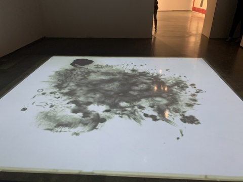 一场让你开眼界的梦幻之旅，银川当代美术馆2021开年双展