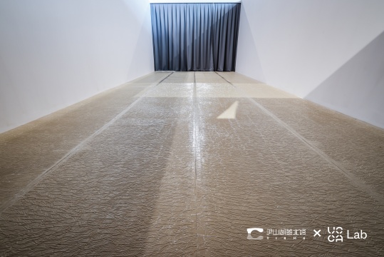张佳沁&nbsp;《似与不似》1000 x 400 x 300 cm 2021 
