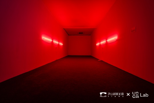 刘亚洲&nbsp;《双闪》 &nbsp;300x20x20cm 霓虹灯管、玻璃&nbsp;&nbsp;2021 