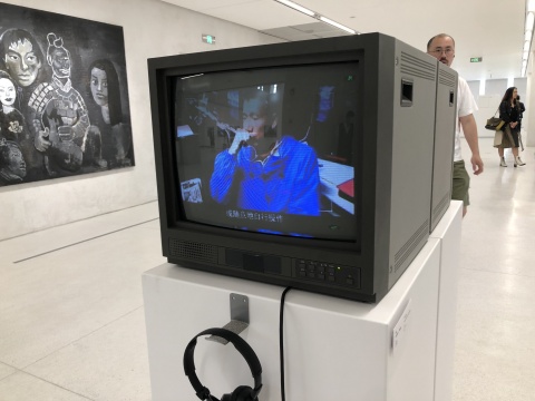 房方以纪录片方式拍摄的2000年上海双年展 