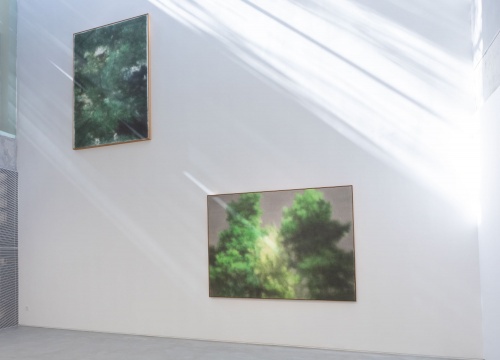 展览现场 
