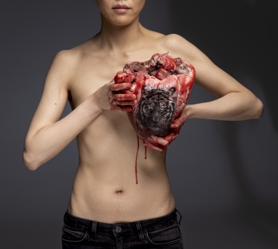 《胸中之物》&nbsp;160 × 179 cm&nbsp; C-print（公牛心脏、纹身虎头、艺术家本人） 2020